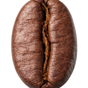 Kaffeebohne